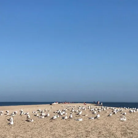 To Tu * Pierwoszyno